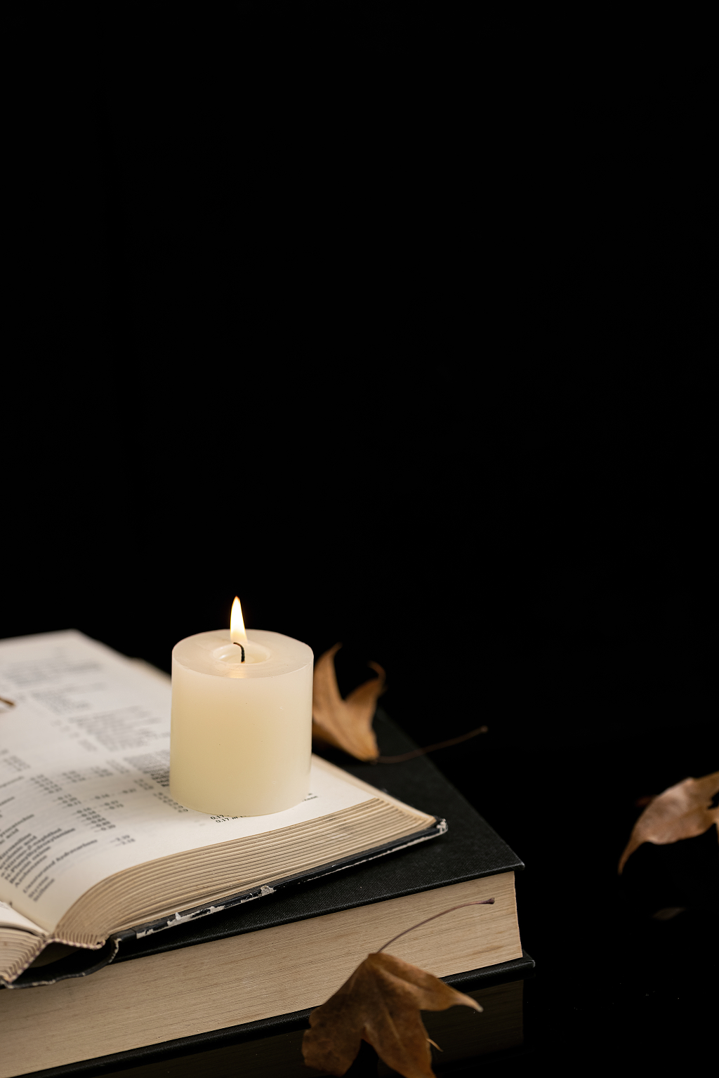 烛光蜡烛感恩节黑色背景南瓜感恩节图片秋天创意