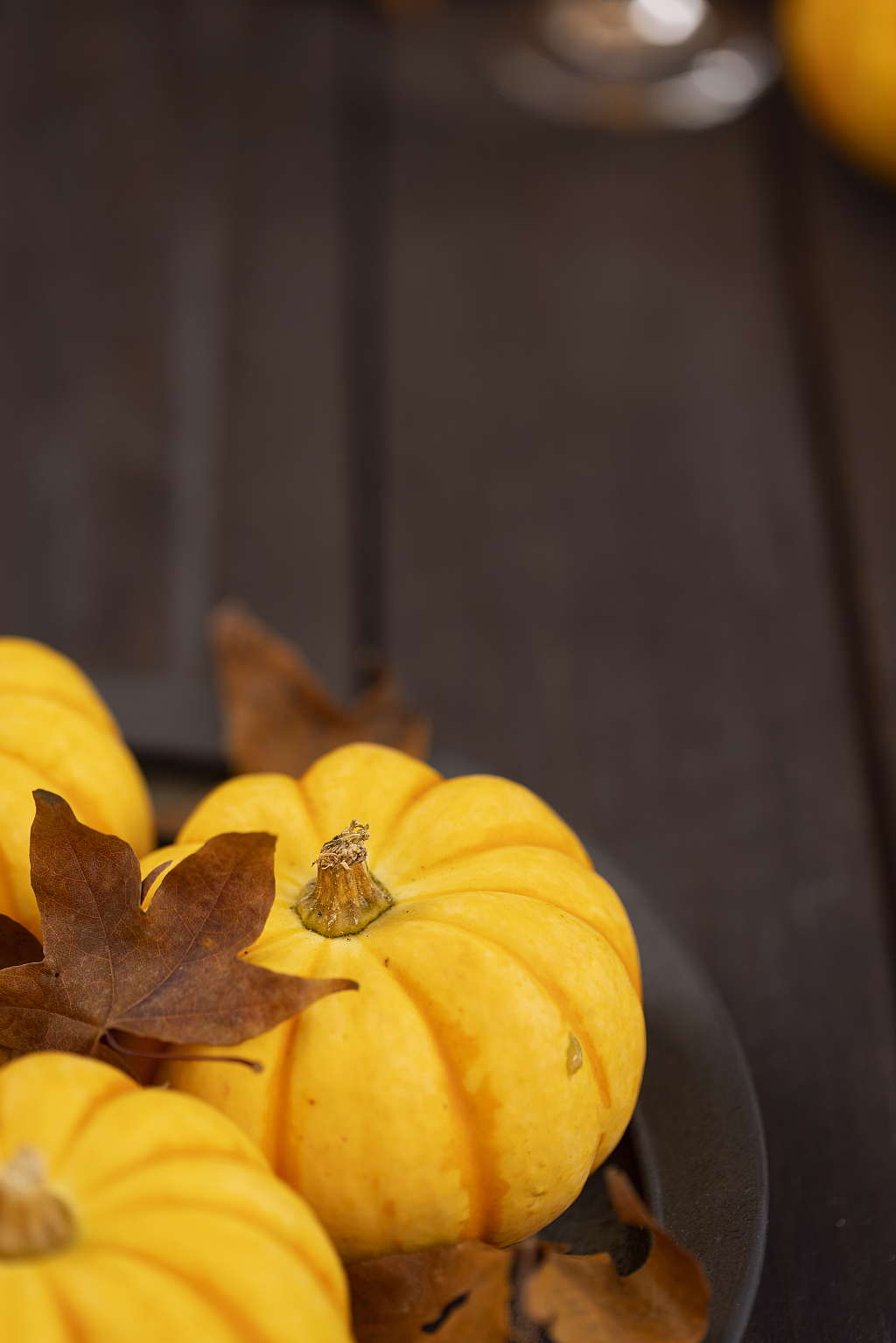 烛光南瓜感恩节背景南瓜感恩节图片秋天创意