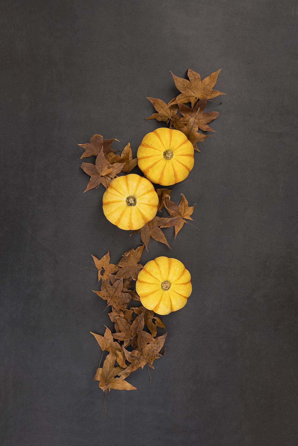 南瓜落叶秋季文艺背景南瓜感恩节图片秋天创意