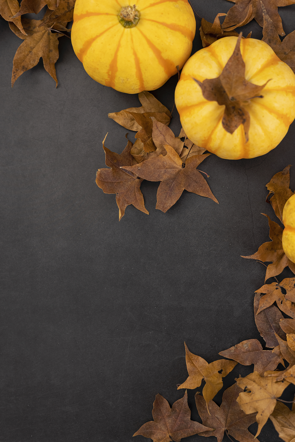 南瓜落叶秋季文艺素材南瓜感恩节图片秋天创意
