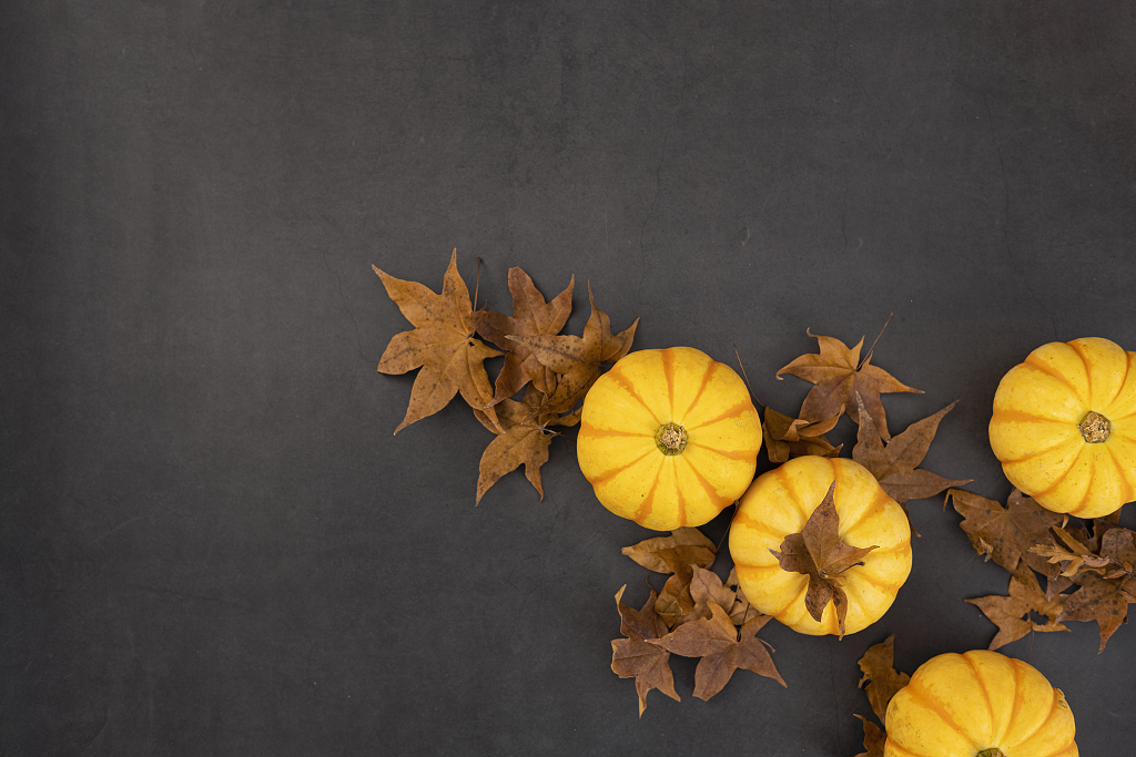 南瓜落叶秋天秋季图片南瓜感恩节图片秋天创意