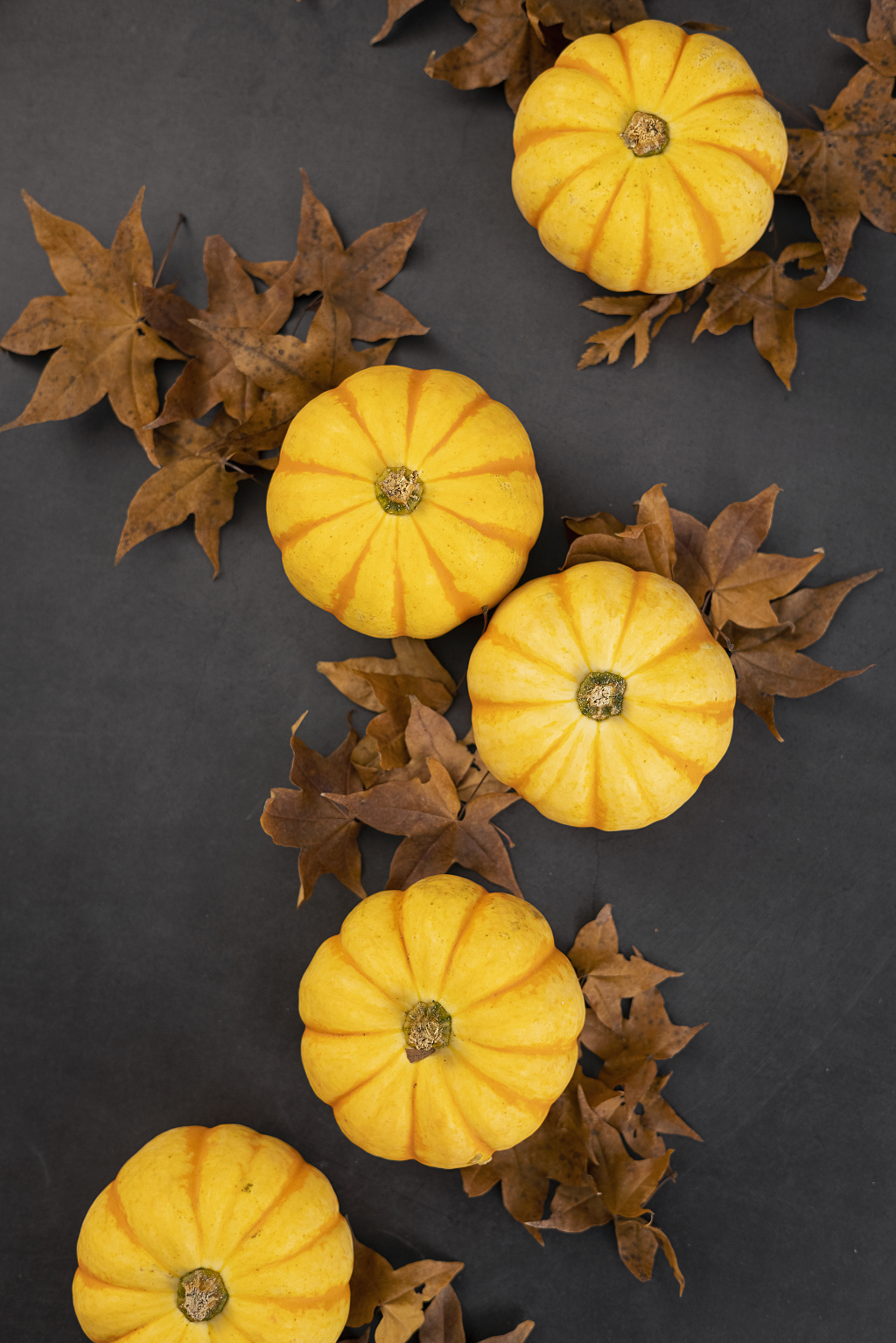 秋天秋季南瓜与落叶图片南瓜感恩节图片秋天创意