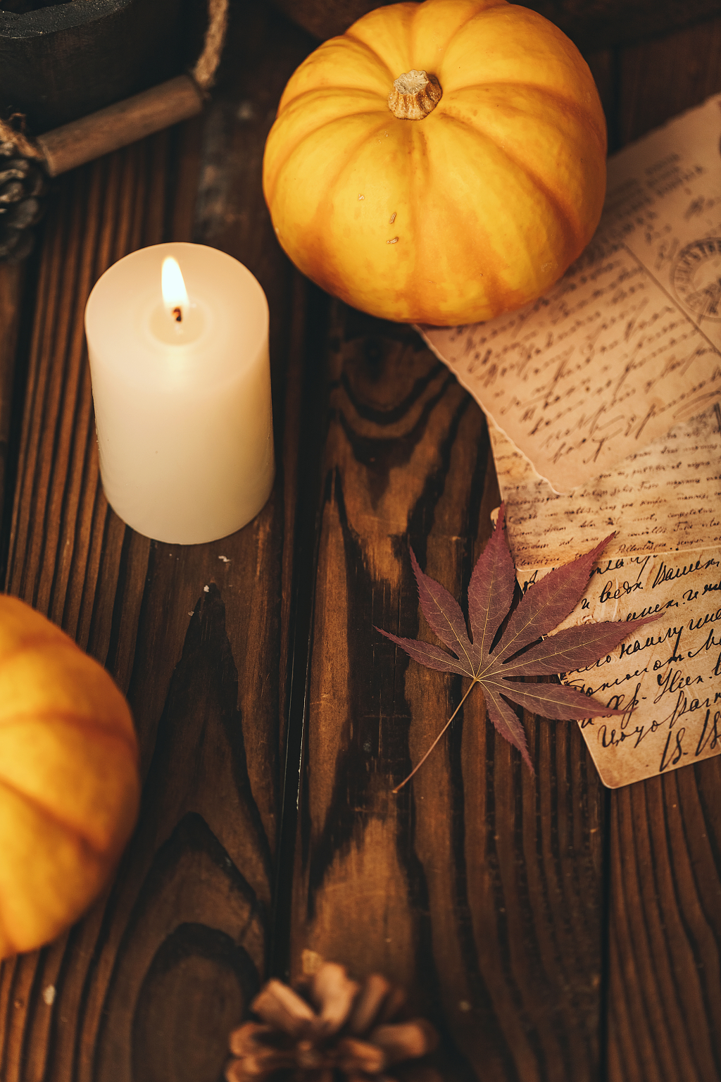 红酒南瓜感恩节海报南瓜感恩节图片秋天创意