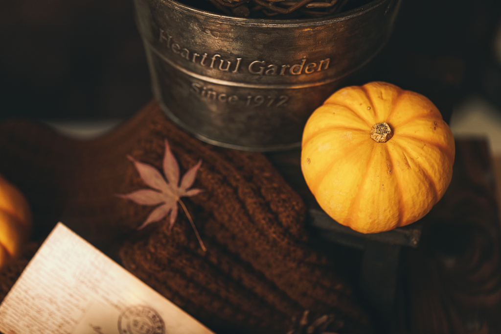 南瓜枫叶感恩节图片南瓜感恩节图片秋天创意