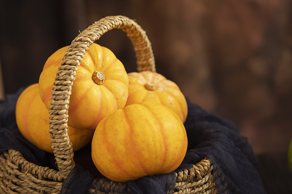 秋季食材南瓜素材南瓜图片感恩节图片秋天创意