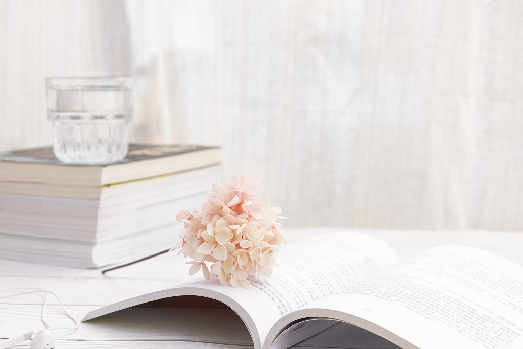 干净明亮静物场景清新文艺图片每日打卡图片唯美静物