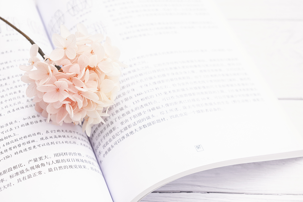 绣球花图书明亮简洁图片清新文艺图片每日打卡图片唯美静物