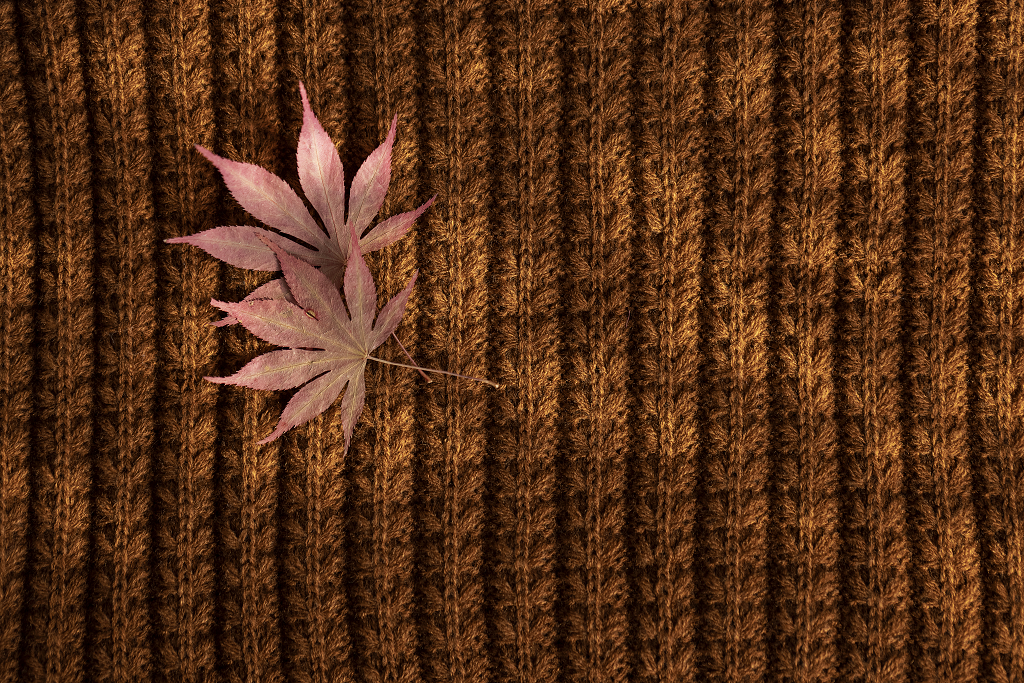 秋季温暖文艺枫叶素材秋天图片秋天静物金秋唯美