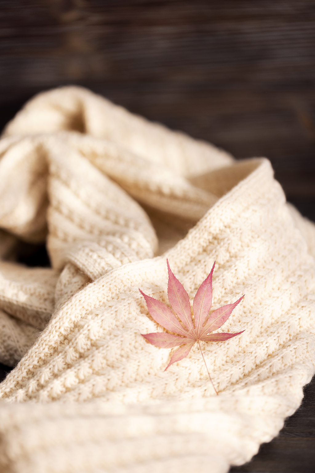 枫叶围巾秋季温暖图片秋天图片秋天静物金秋唯美