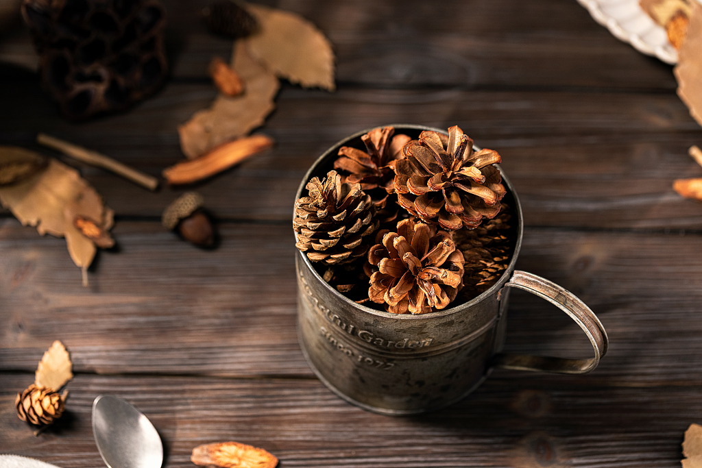 松塔俯拍秋季秋天图片秋天图片秋天静物金秋唯美