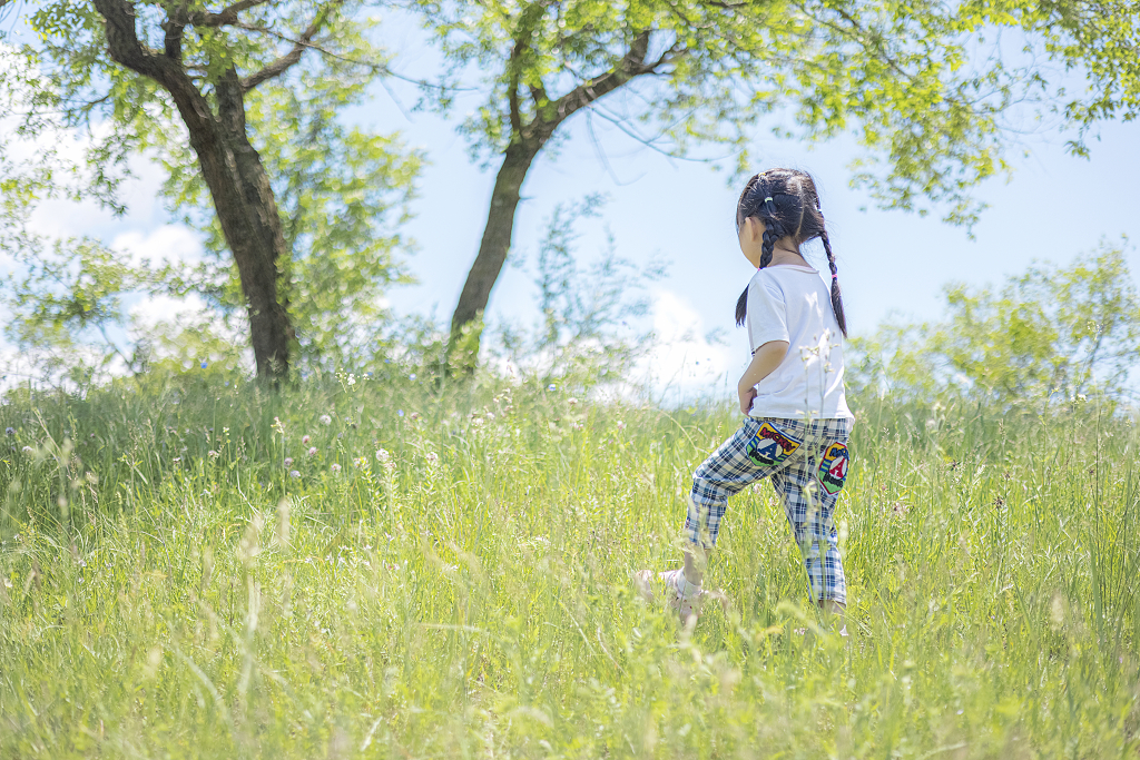草地上玩耍的小姑娘童真童趣童年户外儿童摄影