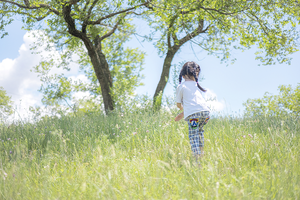 草地上的小姑娘夏日图片童真童趣童年户外儿童摄影
