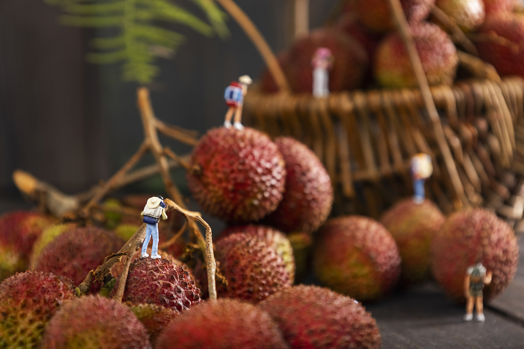 新鲜荔枝微缩创意水果海报荔枝水果妃子笑图片