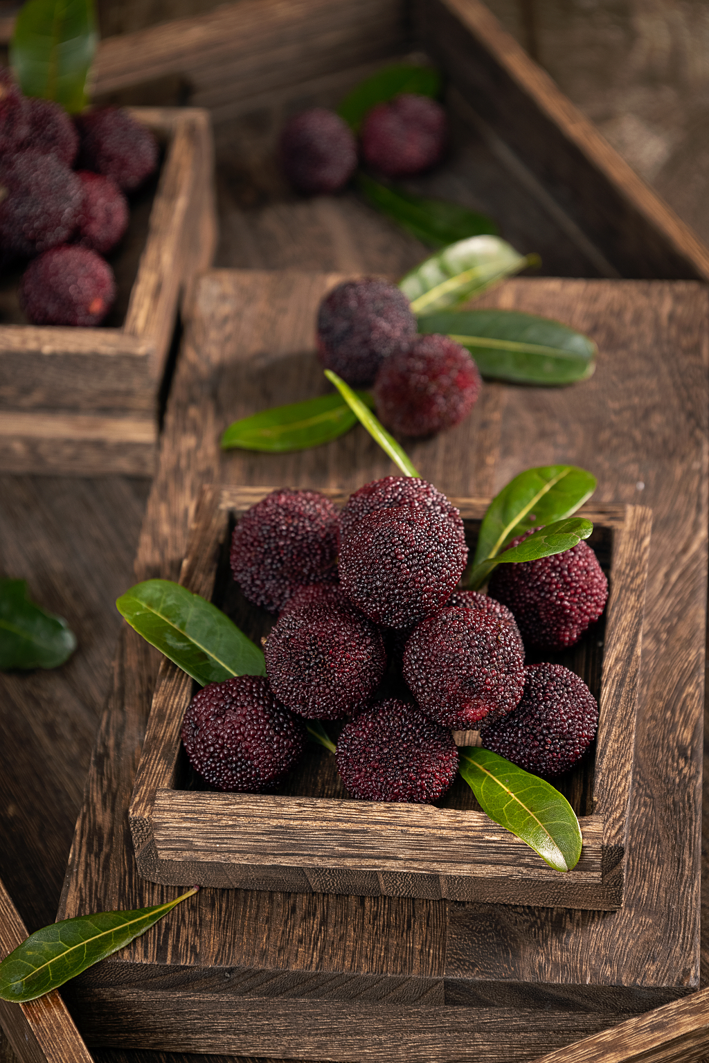 水果杨梅暗调风格图片杨梅图片消暑止渴水果