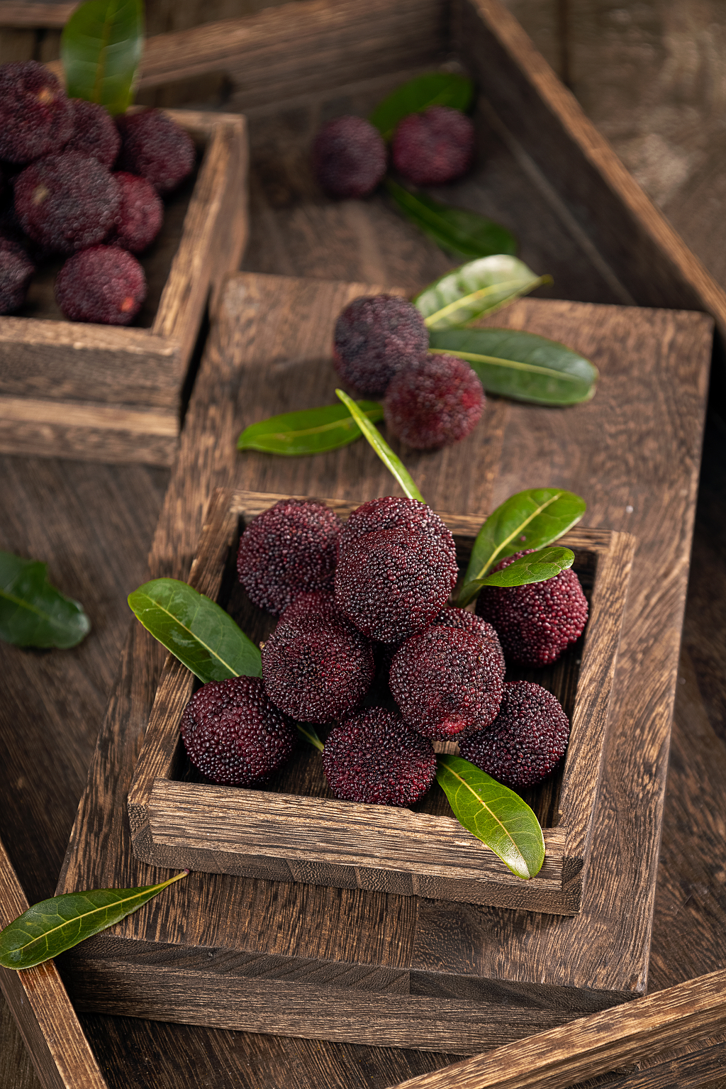 水果杨梅暗调风格木桌背景杨梅图片消暑止渴水果