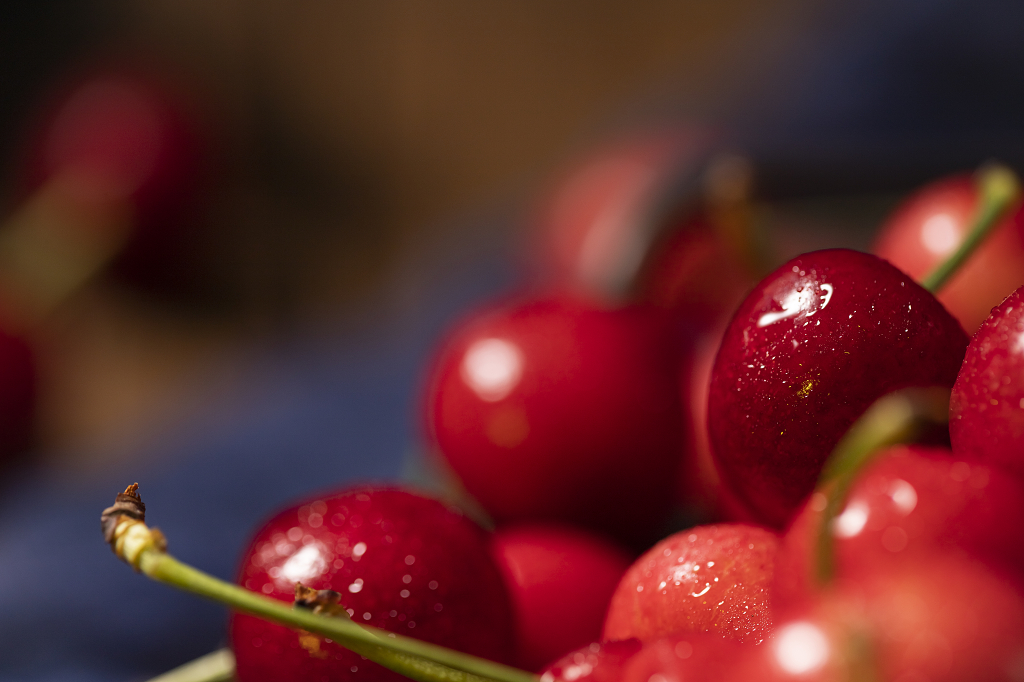 夏天水果樱桃特写暗调风格樱桃图片车厘子图片