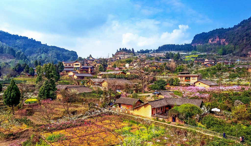 蓝天白云下山坡上小山村春花盛开