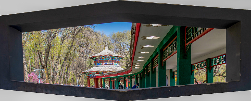 公园里透过窗户看见古建筑长廊和树林