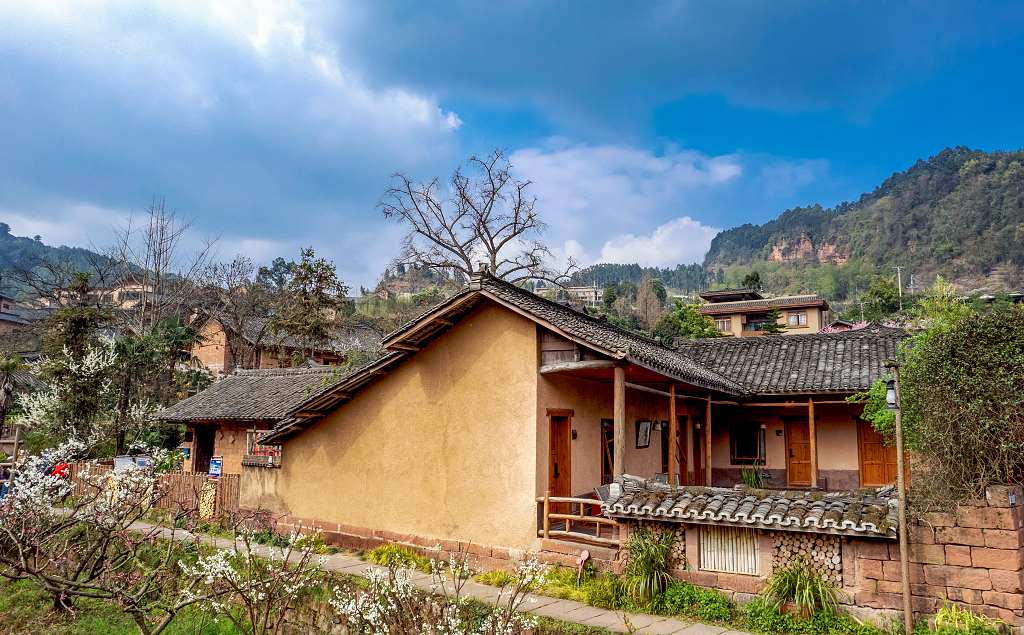 山坡上的农舍白墙黑瓦周围桃花盛开
