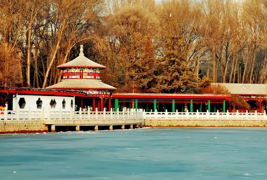 冬日的早晨湖面已结冰岸边大树下的古建筑长廊