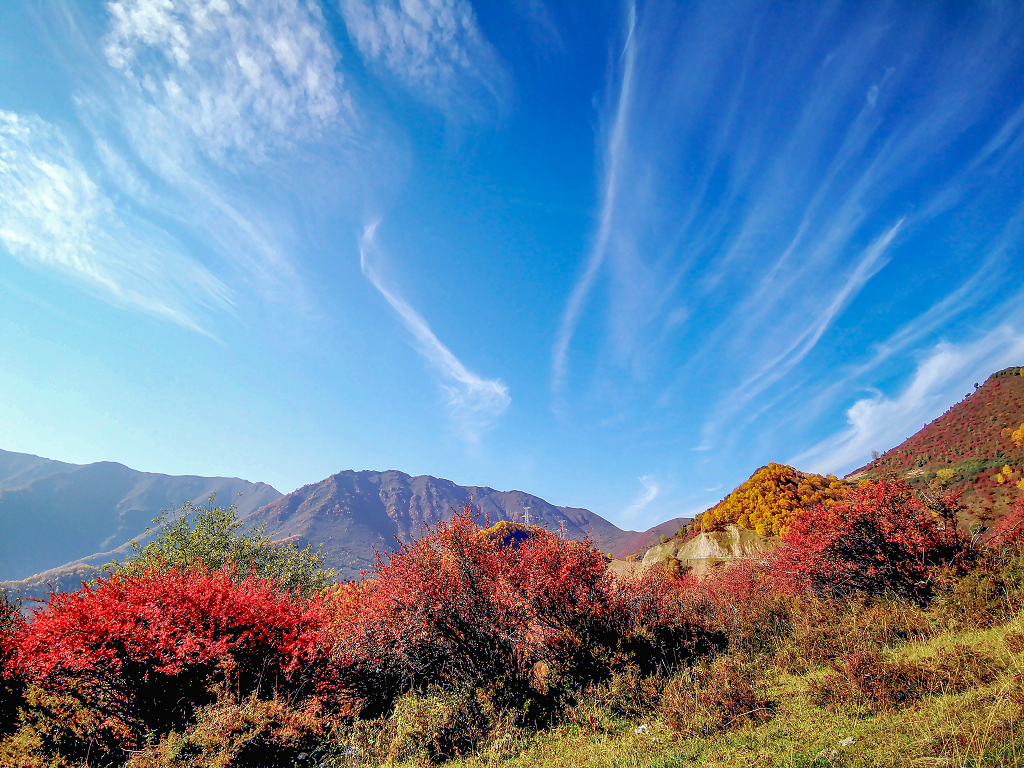 蓝天白云下的互助北山秋色