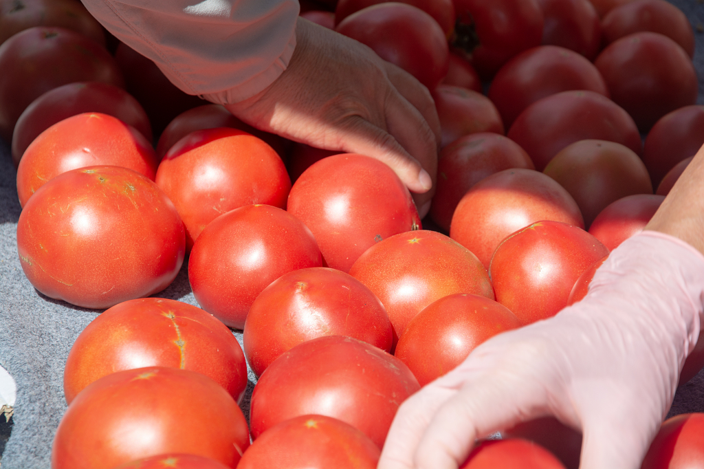 早市上售卖西红柿的摊位