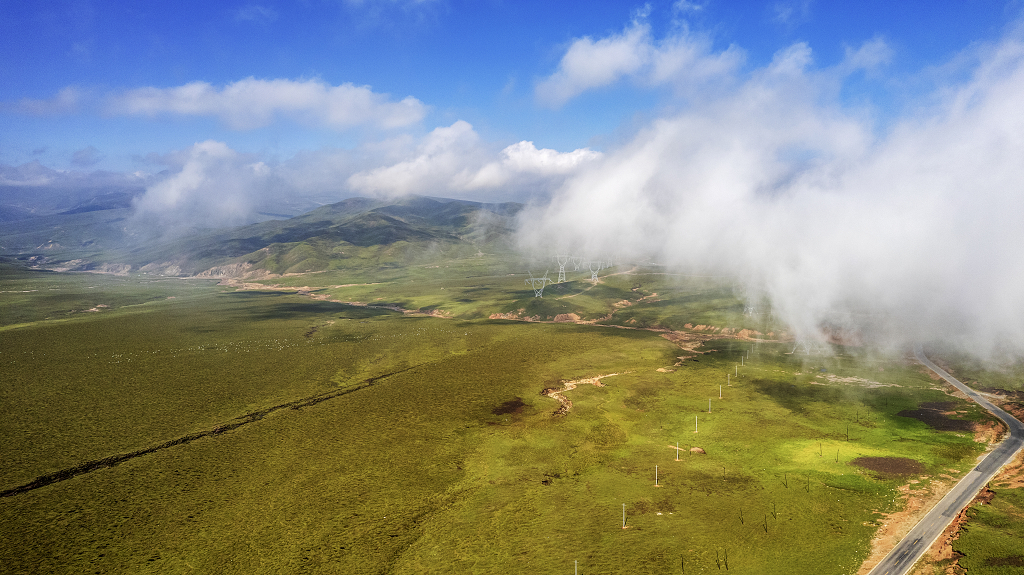 夏日的草原上云雾低空飘荡草地上牛羊成群