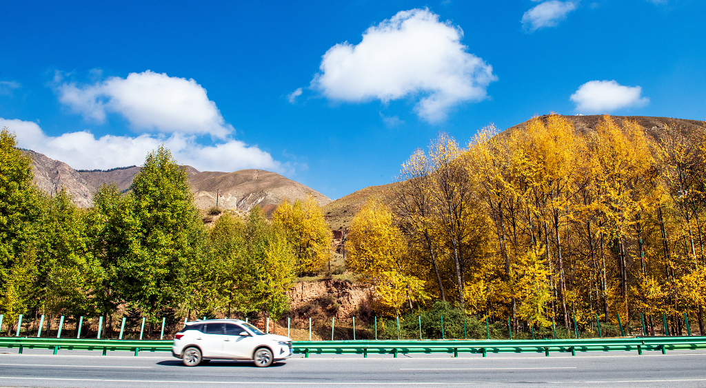 蓝天白云下树林金黄色一辆小车从前面驶过
