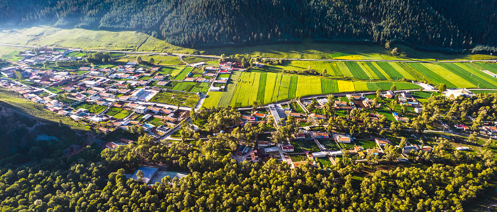 日出时分卓尔山下原始森林环绕下的小山村里油菜花盛开
