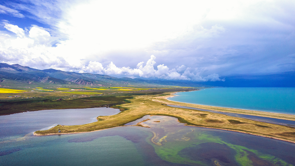 航拍蓝天白云下青海湖蓝色的湖面和黄色的沙路及湖畔的油菜花