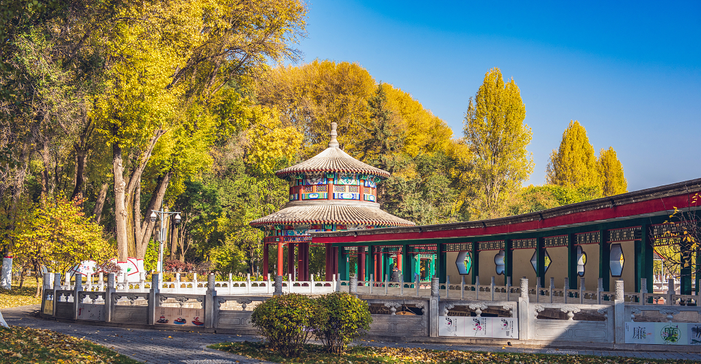 晴朗的秋日公园里一条古建筑长廊在金黄色的树下