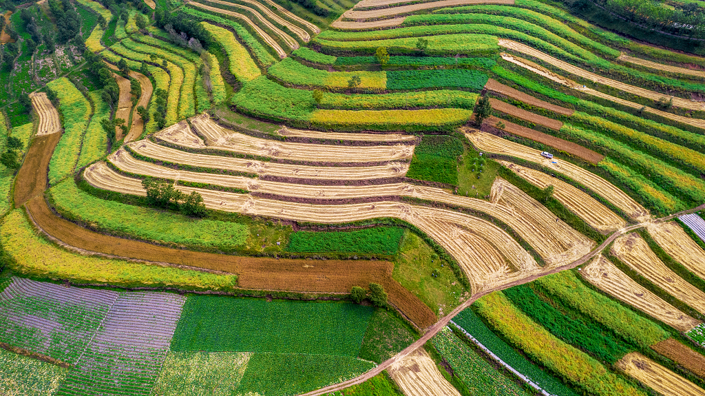 航拍山坡上波澜起伏的线性彩色梯田