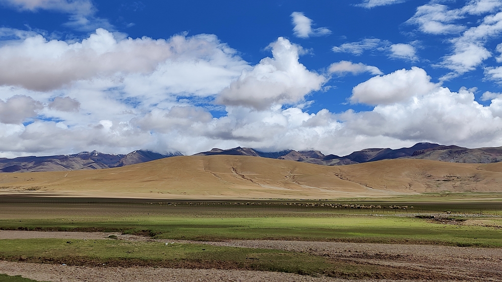 阿里路上的羊群与白云电脑壁纸