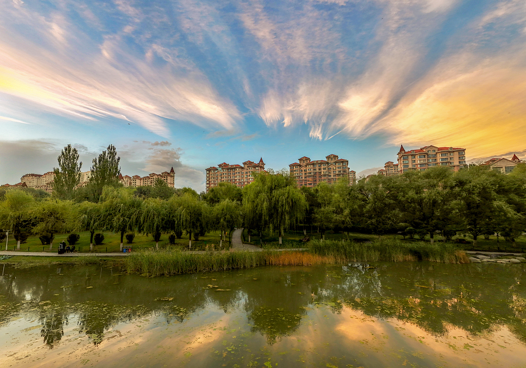 霞光将天空染成了金黄色蓝天下楼房树木倒影在水中