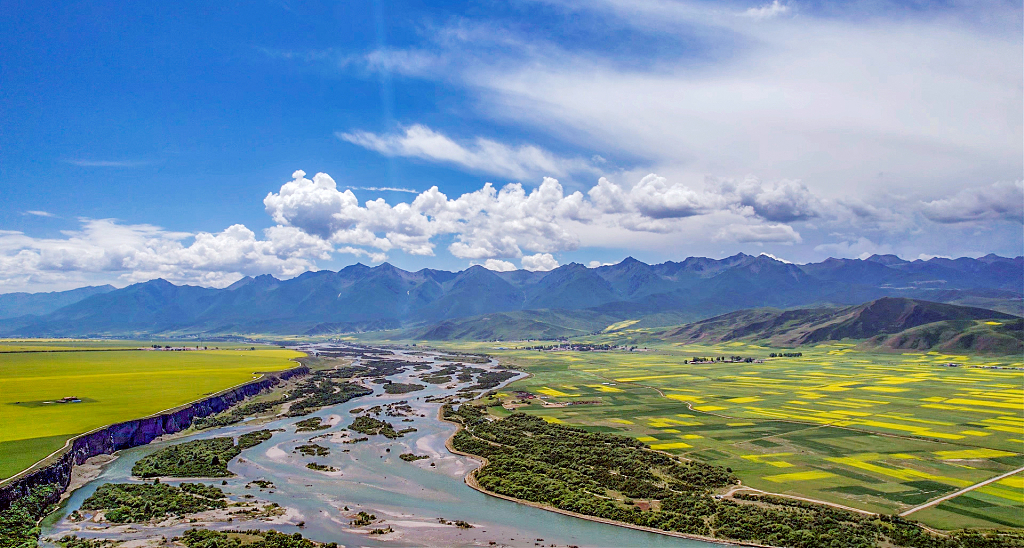 蓝天白云下航拍河道两旁的油菜花农田