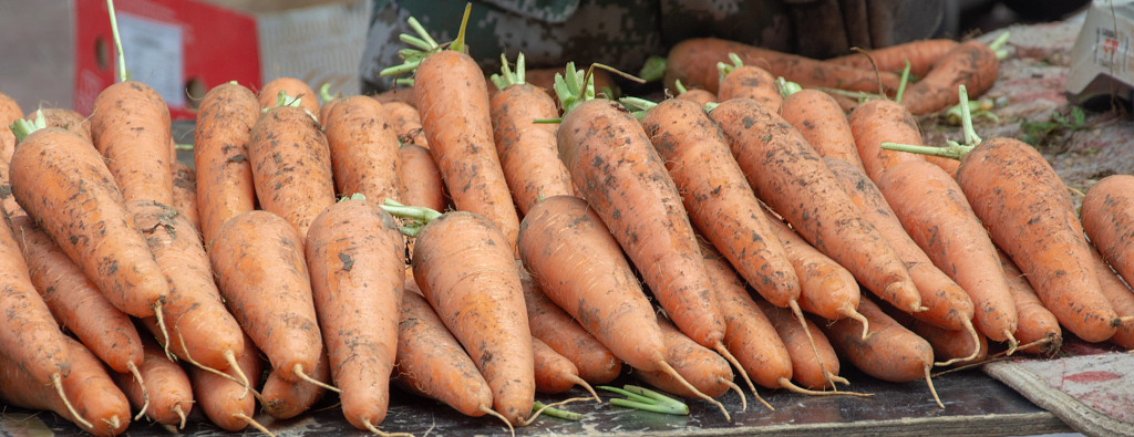 蔬菜胡萝卜