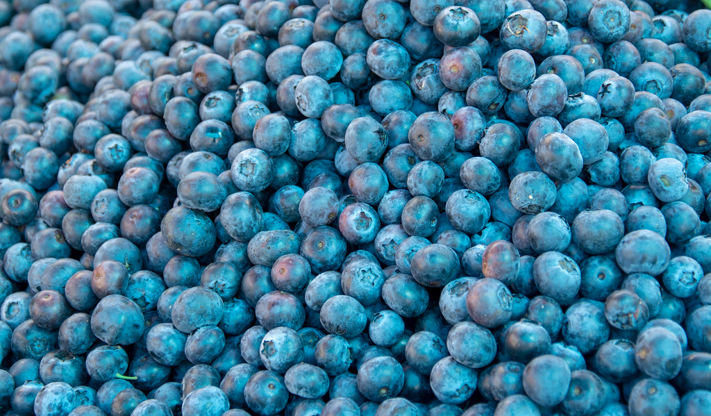 早市中售卖蓝莓的水果摊