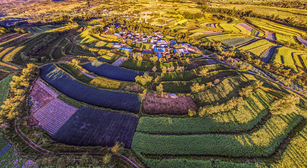 秋日的夕阳下航拍一圈圈梯田环绕的小山村的树木和农作物