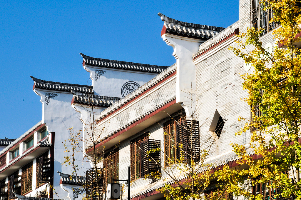 长沙宁乡道林古镇古街