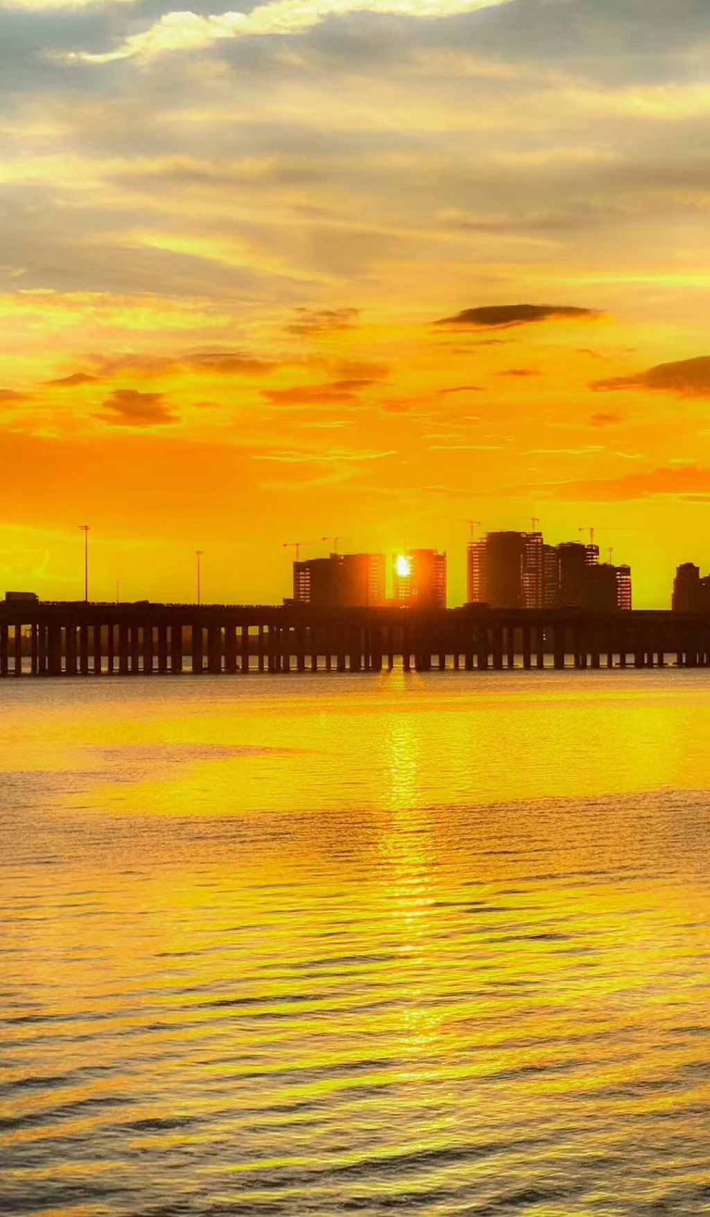 金色日落城建建筑剪影美景