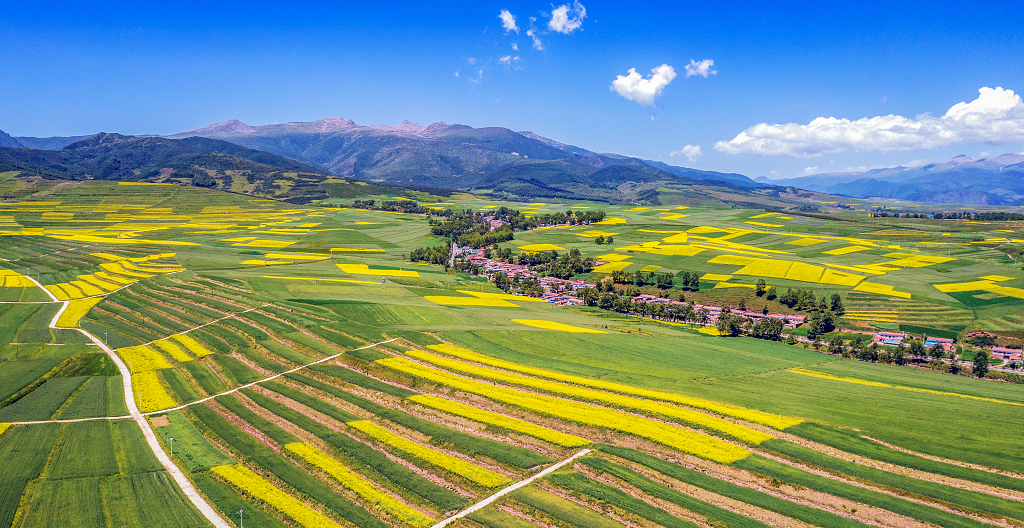 蓝天白云下航拍大山深处的小山村和油菜花田