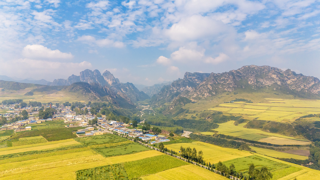 蓝天白云下航拍南佛山下的小山村和金黄色农田