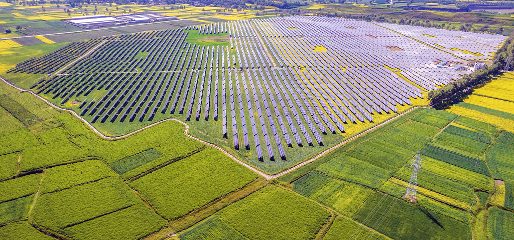 航拍油菜花地里的光伏电站