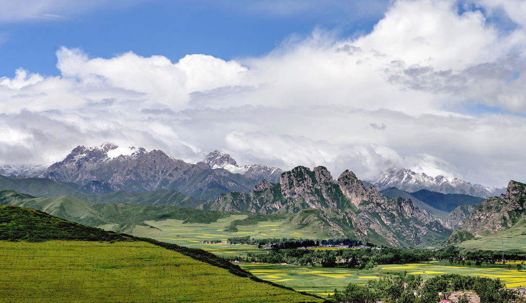 夏日蓝天白云雪山下小山村周围的农田里油菜花盛开