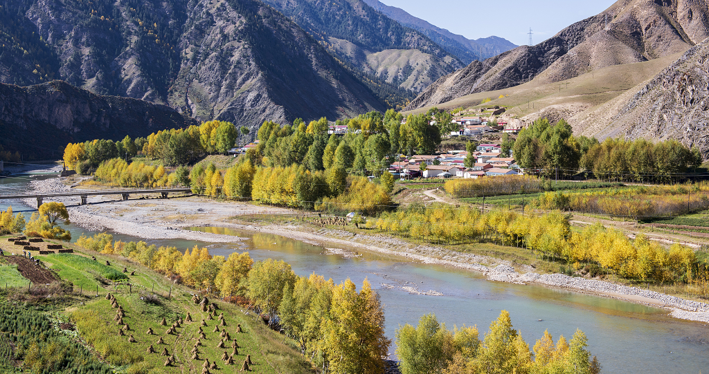 金秋时节大山深处的河流两旁金黄色的树木和山下的梅花村