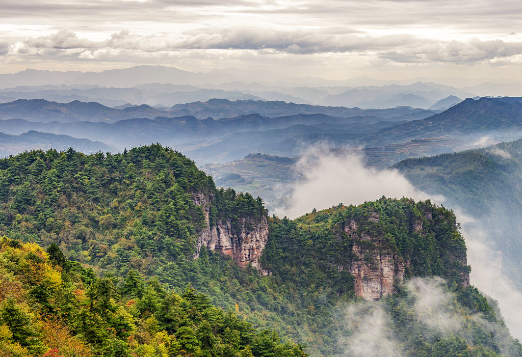 初秋时节山上秋色下的树木和山谷中的云雾
