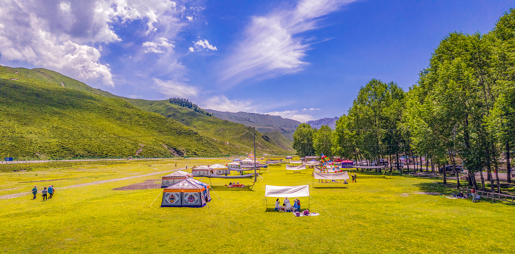 大山深处的山坡上开满了小黄花的草地上露营的帐篷