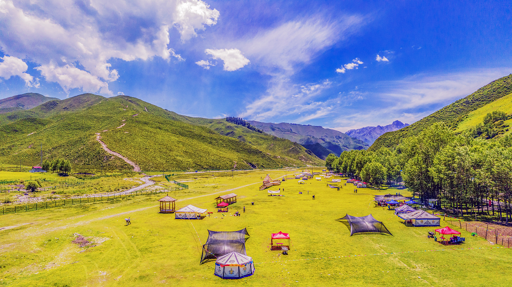 大山深处的山坡上开满了小黄花的草地上露营的帐篷
