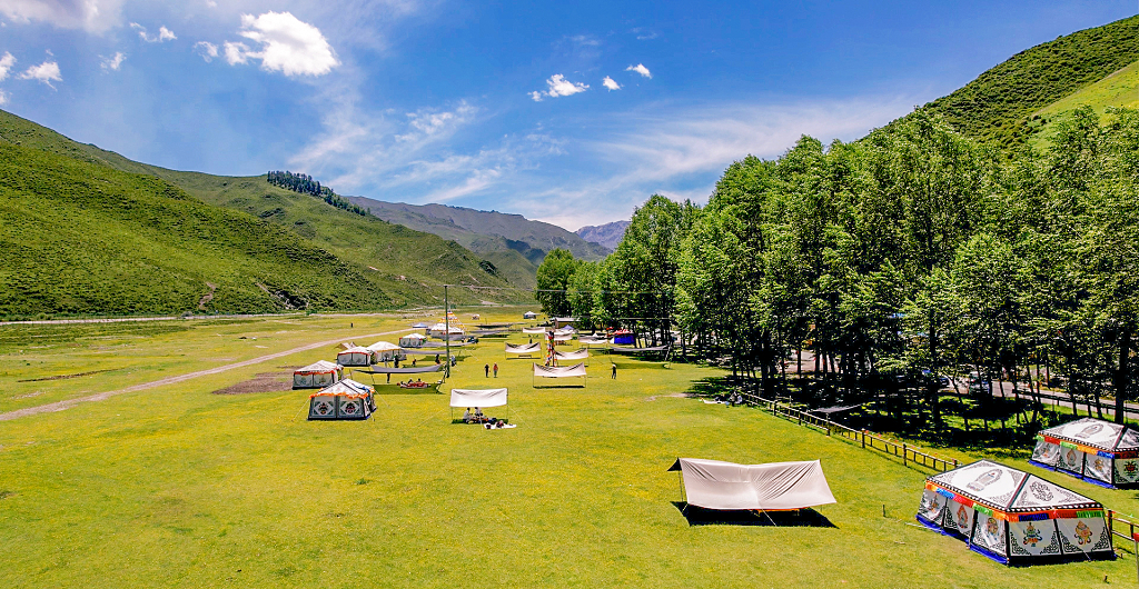大山深处的山坡上开满了小黄花的草地上露营的帐篷