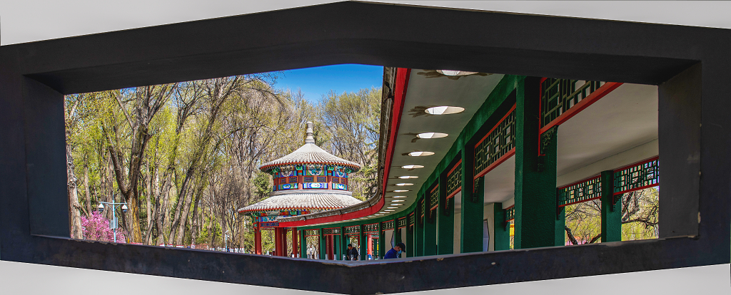 春日的公园里透过窗户看见古建筑长廊和树木